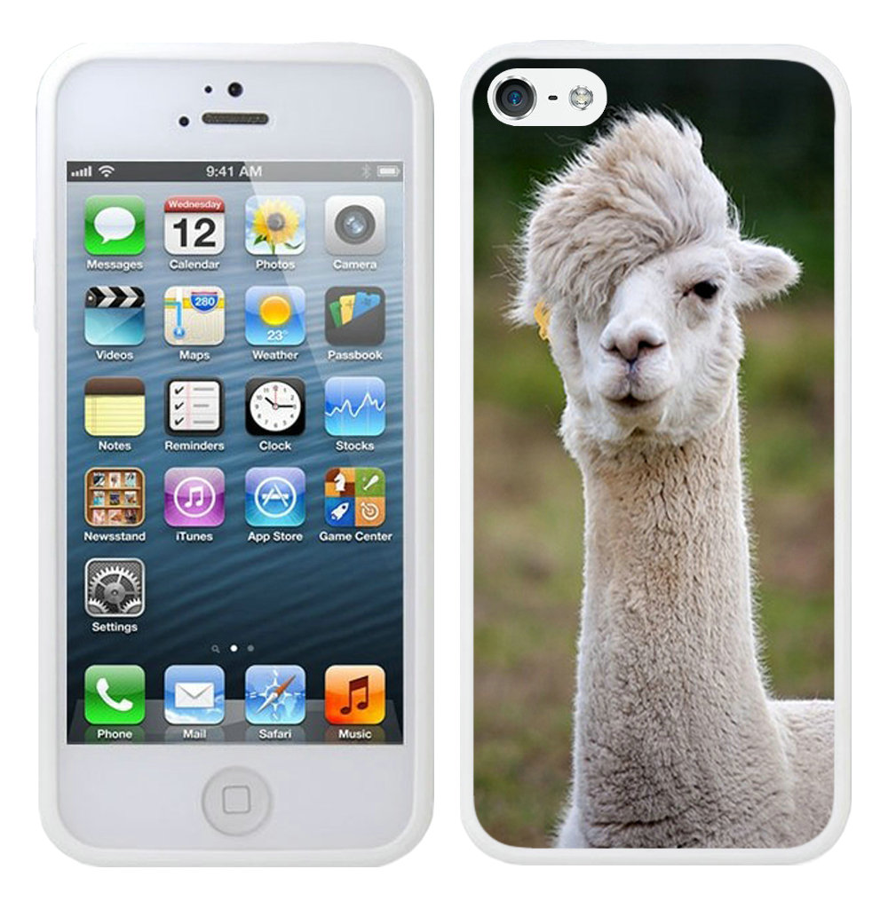 baby alpaca White iPhone 5 5S Case - Click Image to Close